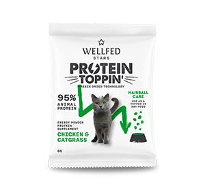 chichen protein boost cat