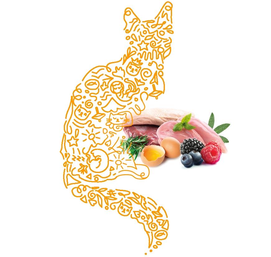 Cat and cat food materials