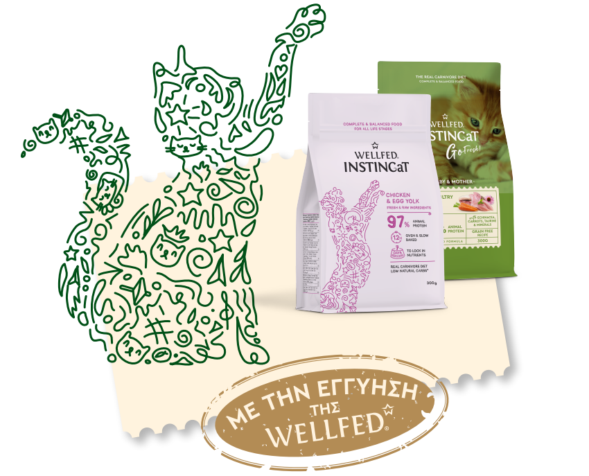 Dry cat food, insticat by wellfed