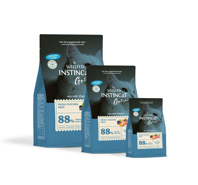 urinary care for cats