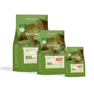 baby & mother go fresh 