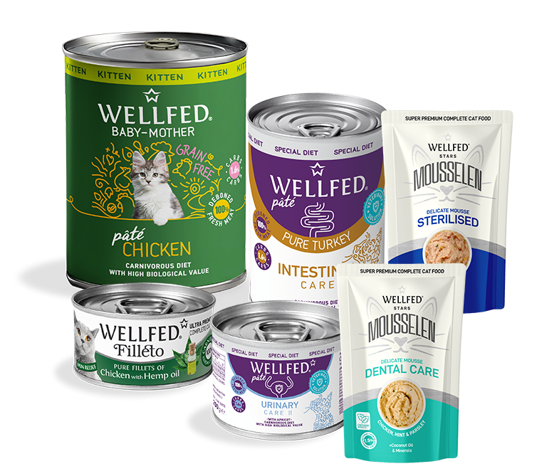 all wellfed 