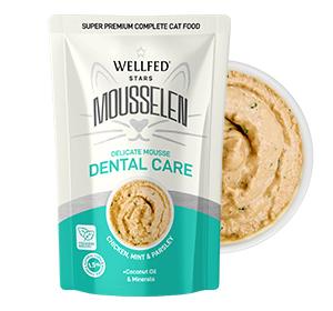 dental 