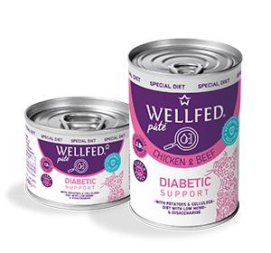diabetic cats 