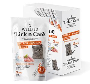 kitten 